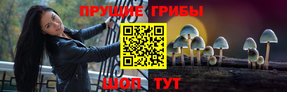 Псилоцибиновые грибы Psilocybine cubensis  Вход с VPN  Галлюциногенные грибы ЛСД  купить наркотик  Карачаевск 